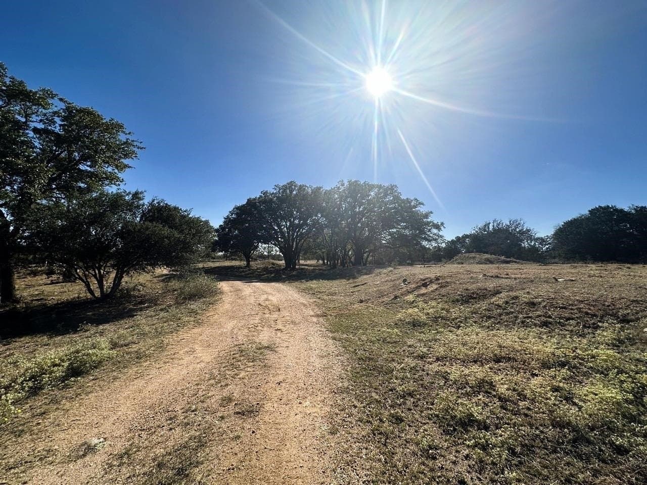 22.93 acres in Burnet County gallery image 2