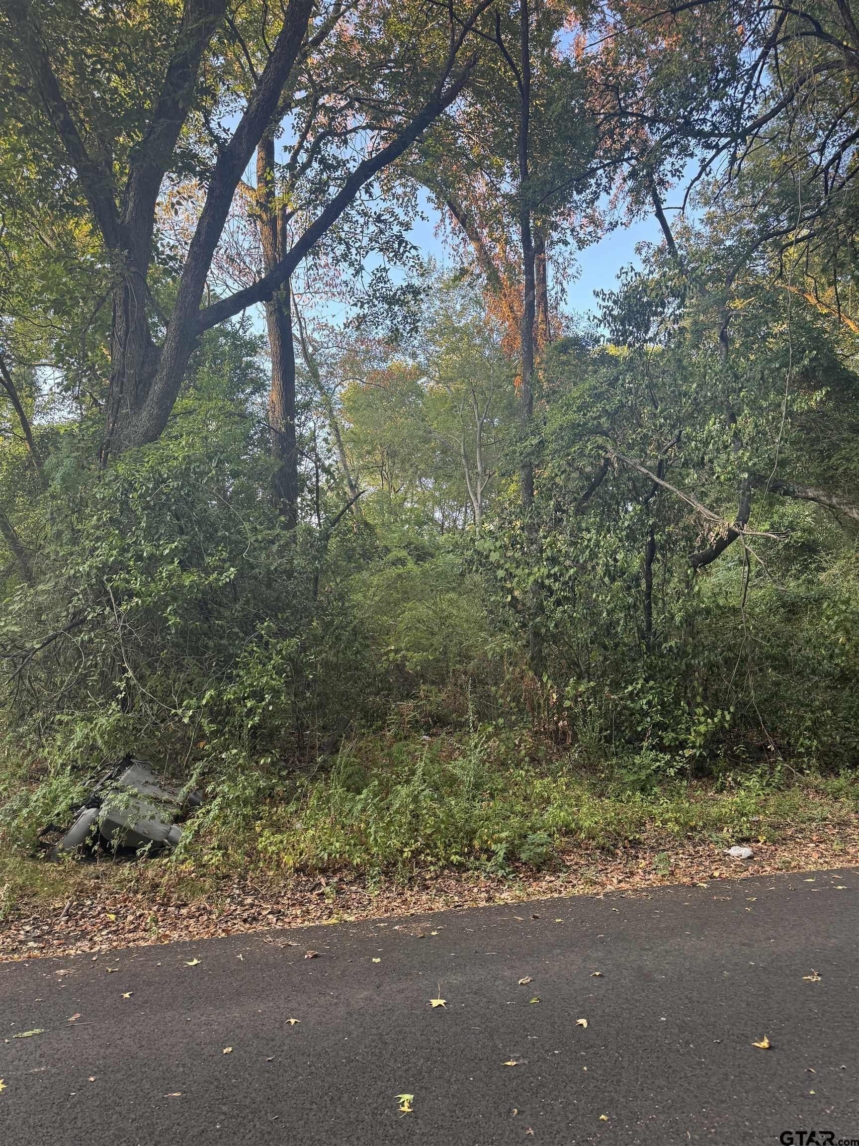 0.26 acres in Harrison County - photo 3