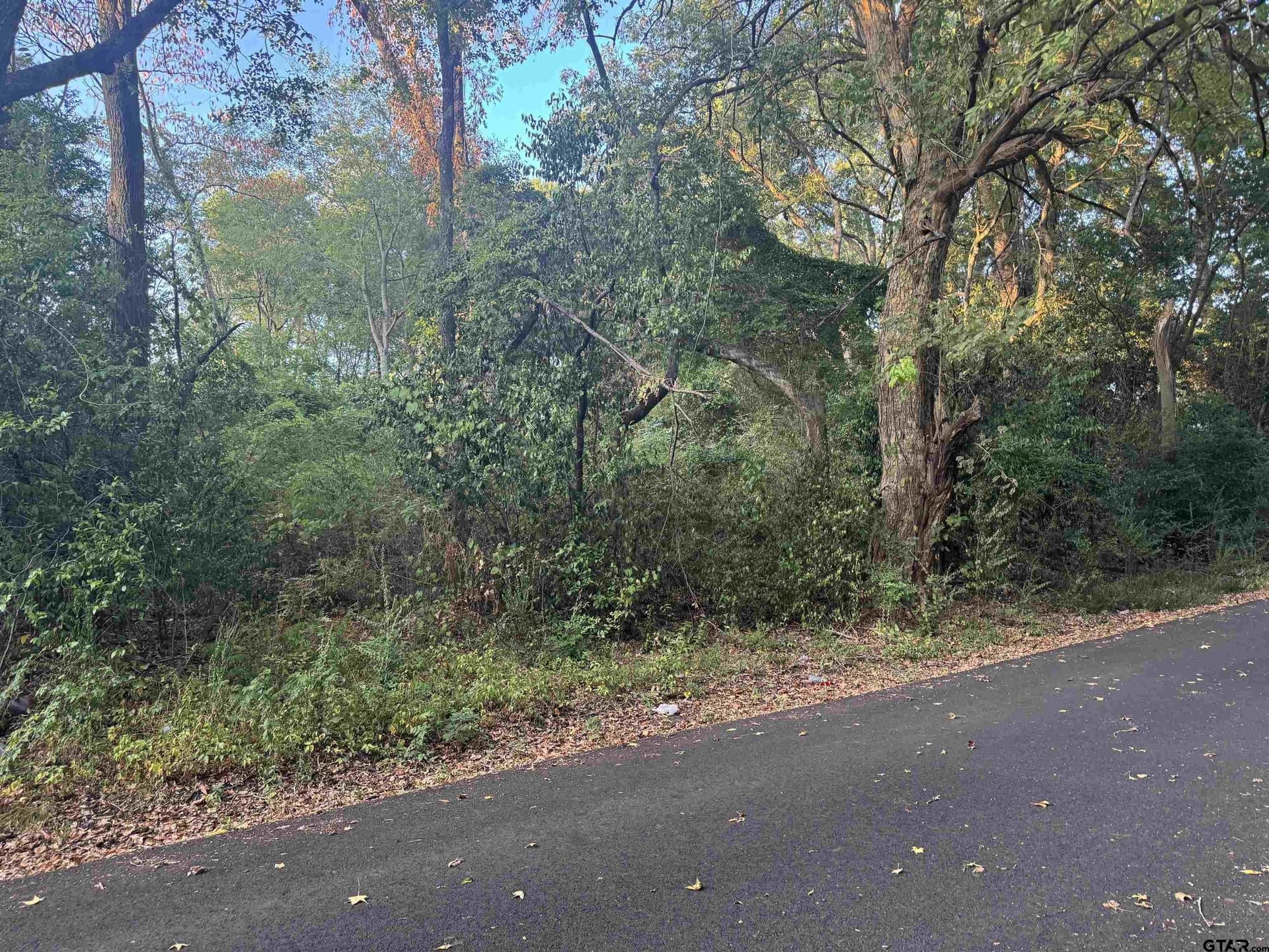 0.26 acres in Harrison County - photo 2