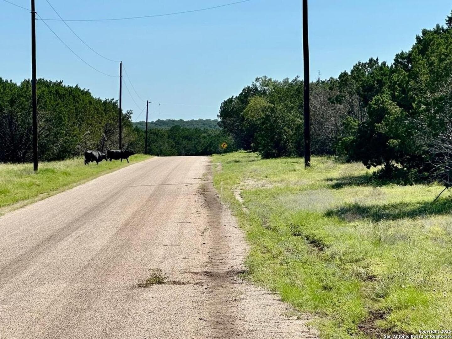8 acres in Burnet County - photo 18