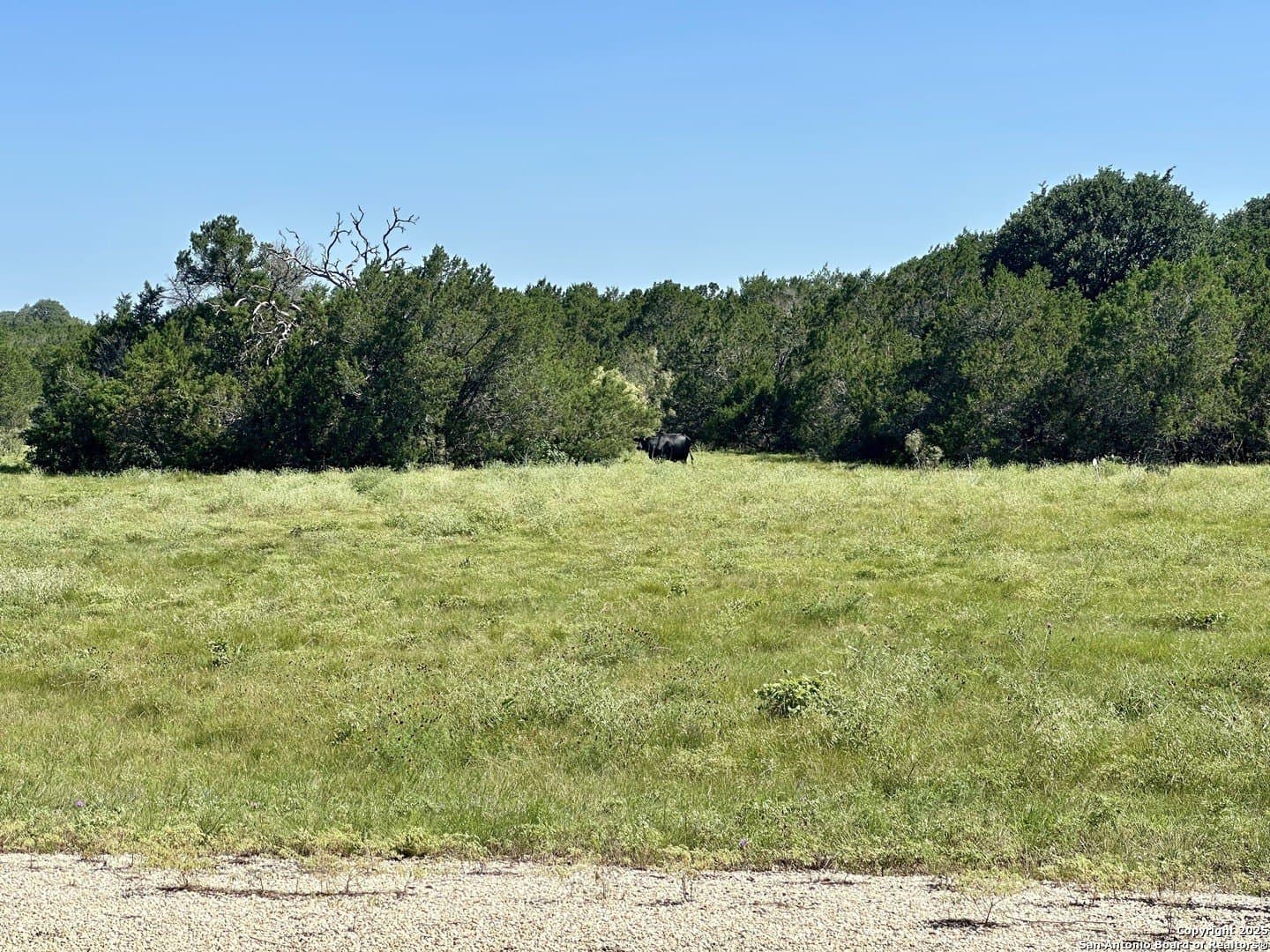 8 acres in Burnet County - photo 27