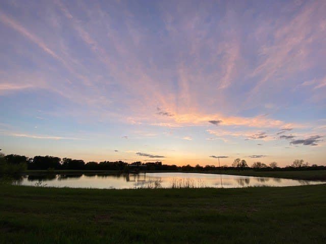 14.71 acres in Rains County - photo 3