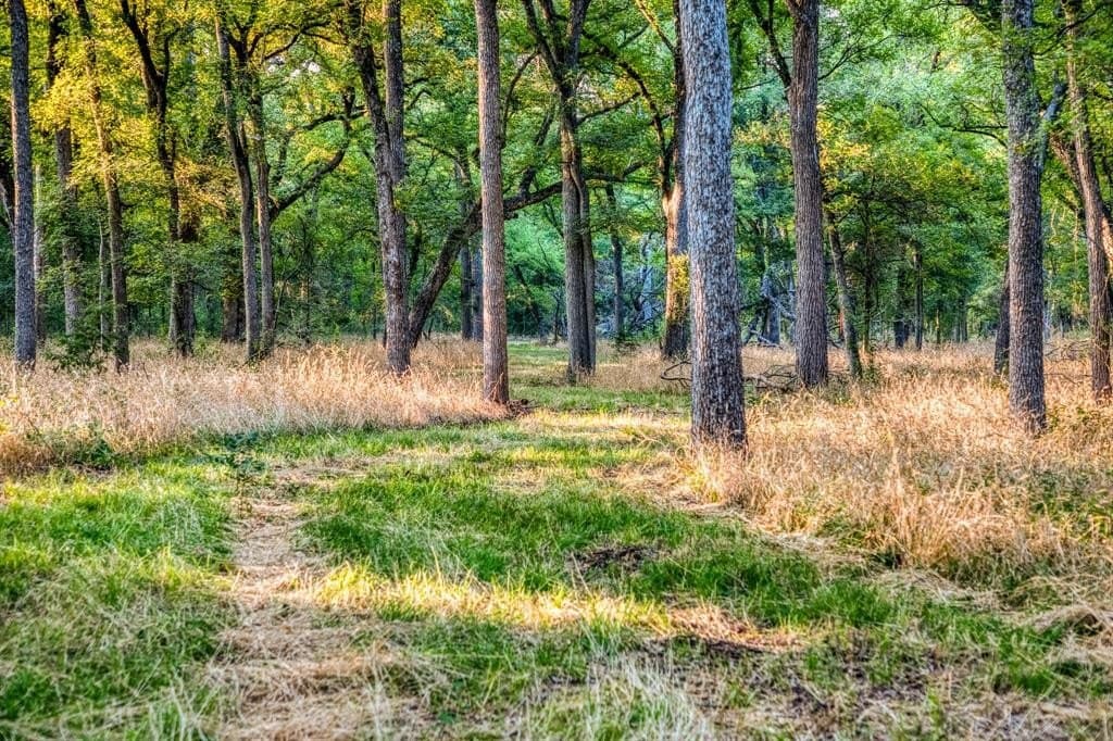162 acres in Hamilton County gallery image 4