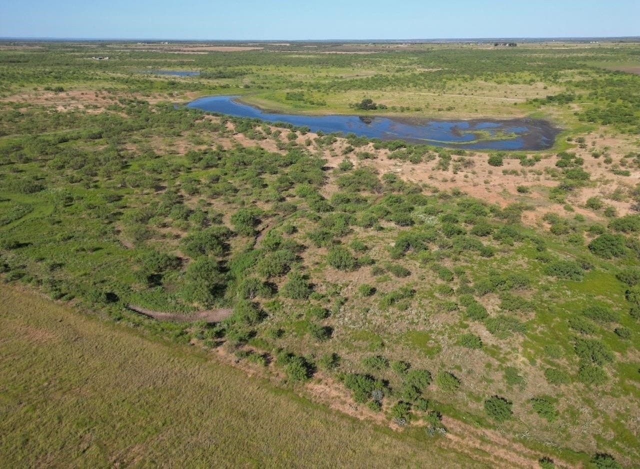 290 acres in Coleman County - photo 6
