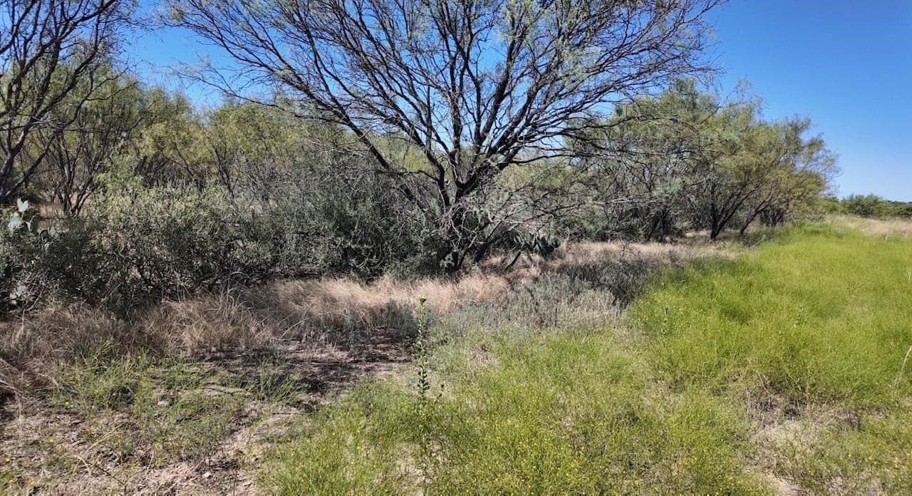 290 acres in Coleman County - photo 30