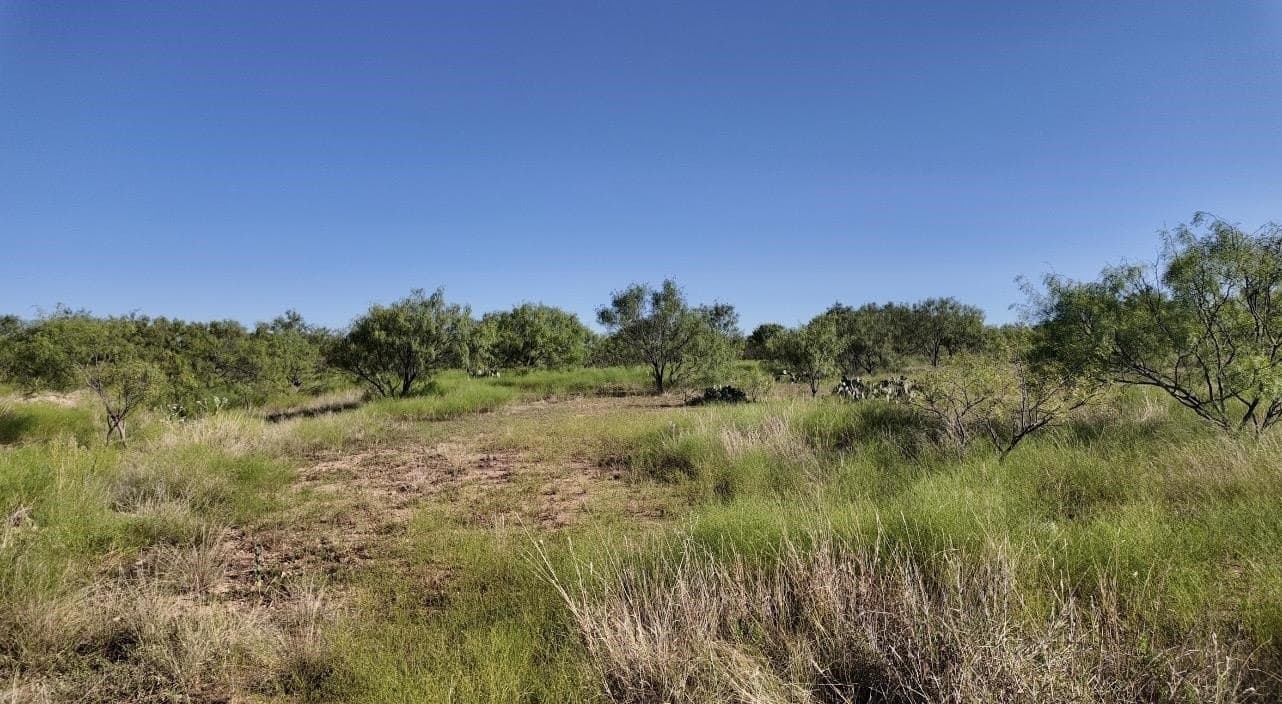 290 acres in Coleman County - photo 22