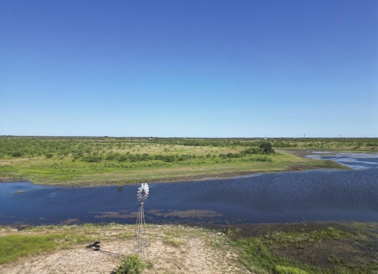 290 acres in Coleman County - photo 4