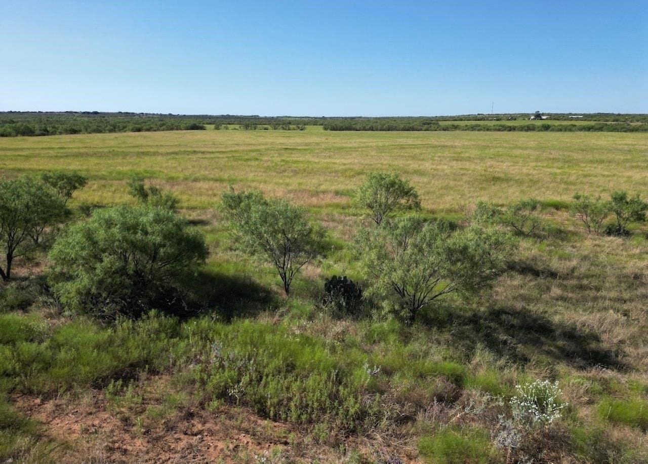 290 acres in Coleman County - photo 12