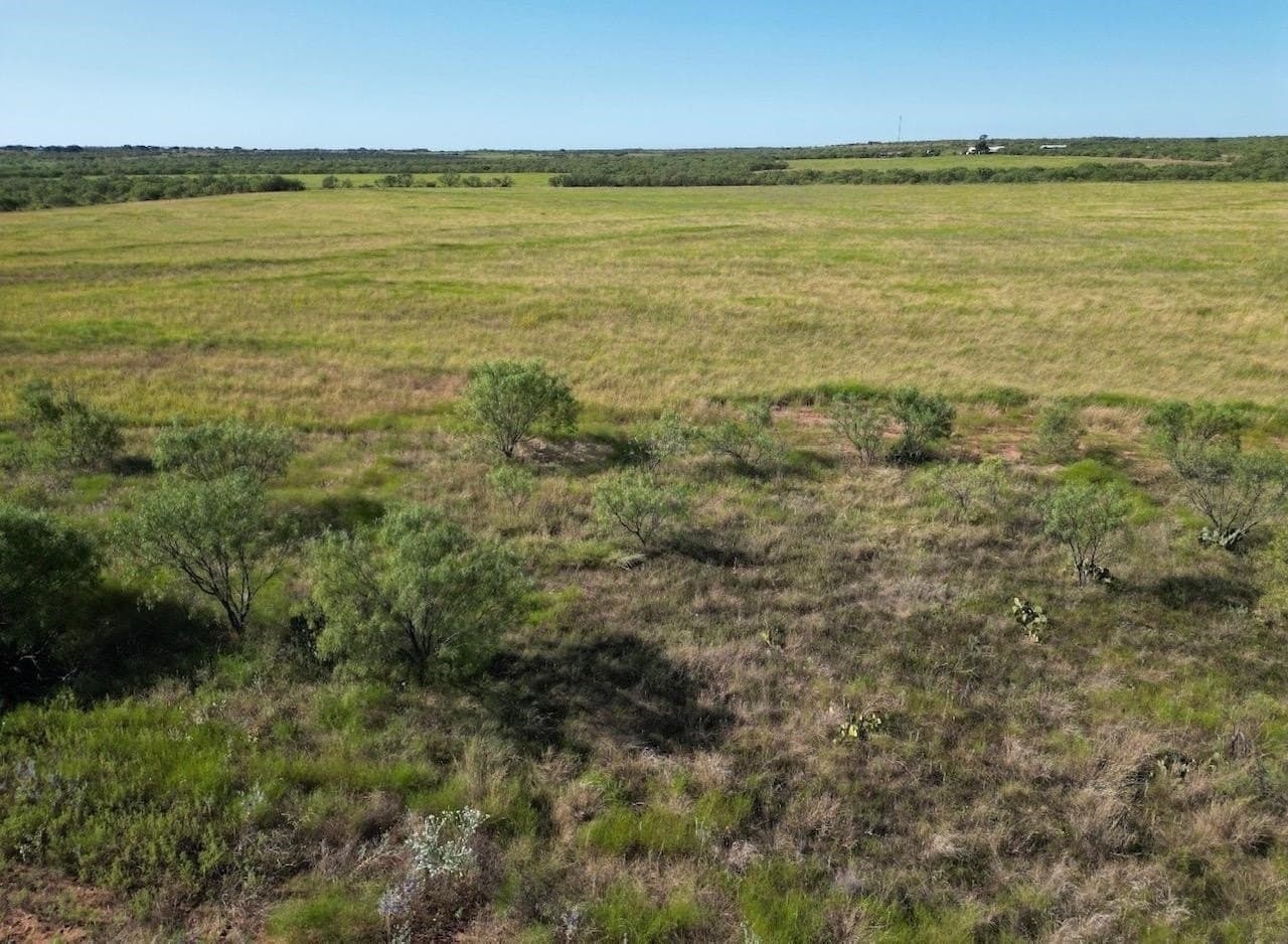 290 acres in Coleman County - photo 11