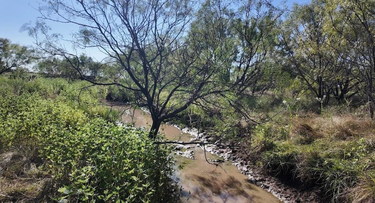 290 acres in Coleman County - photo 26