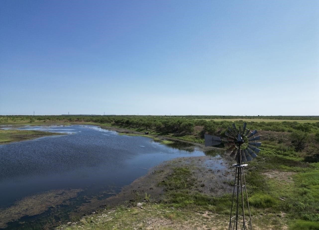 290 acres in Coleman County - photo 5
