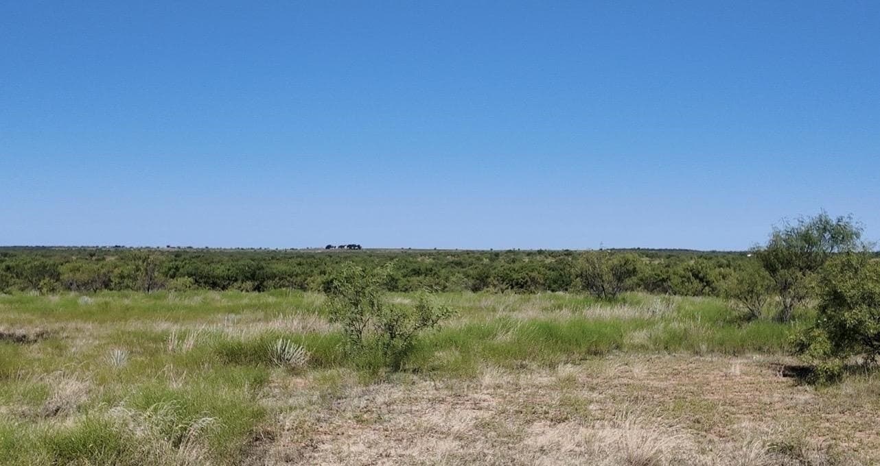 290 acres in Coleman County - photo 19