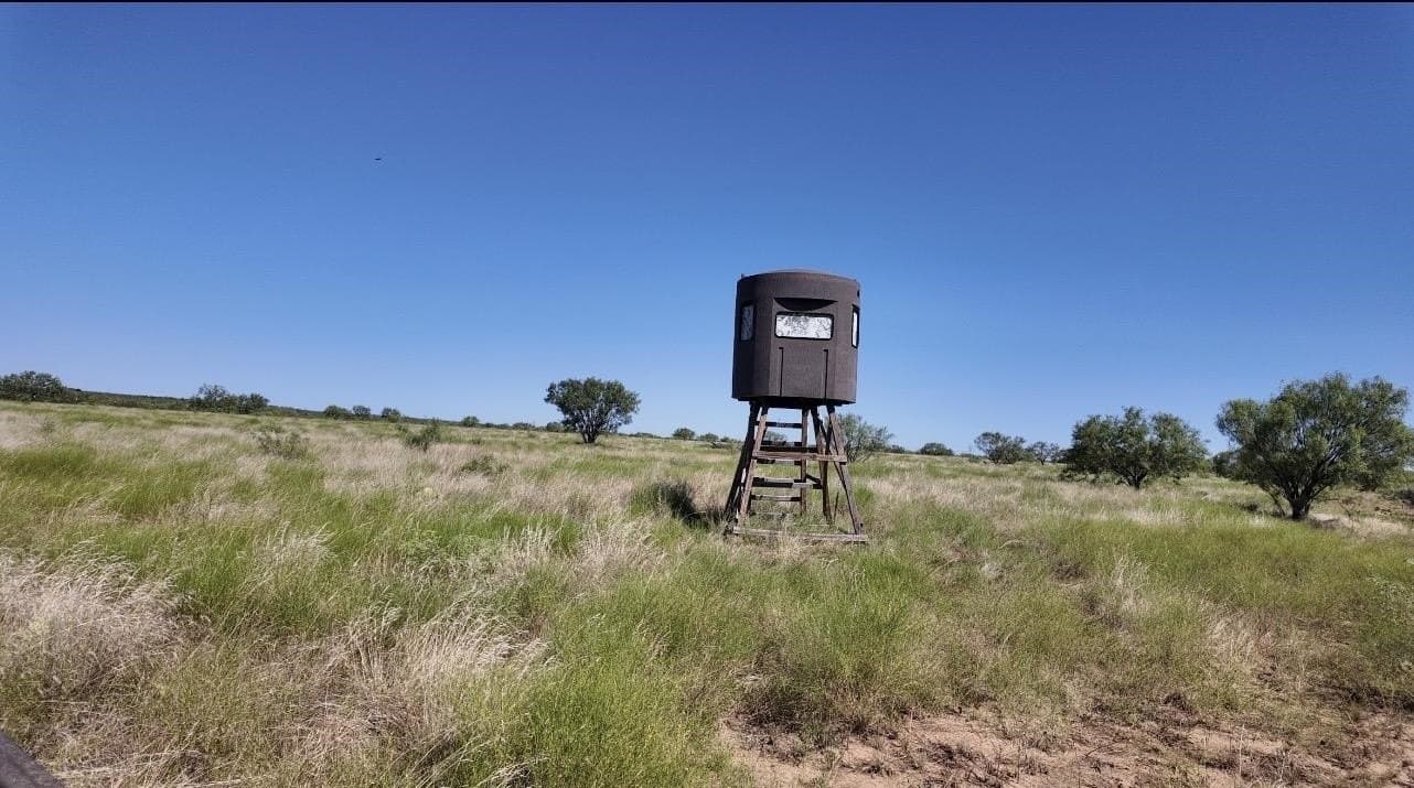 290 acres in Coleman County - photo 13