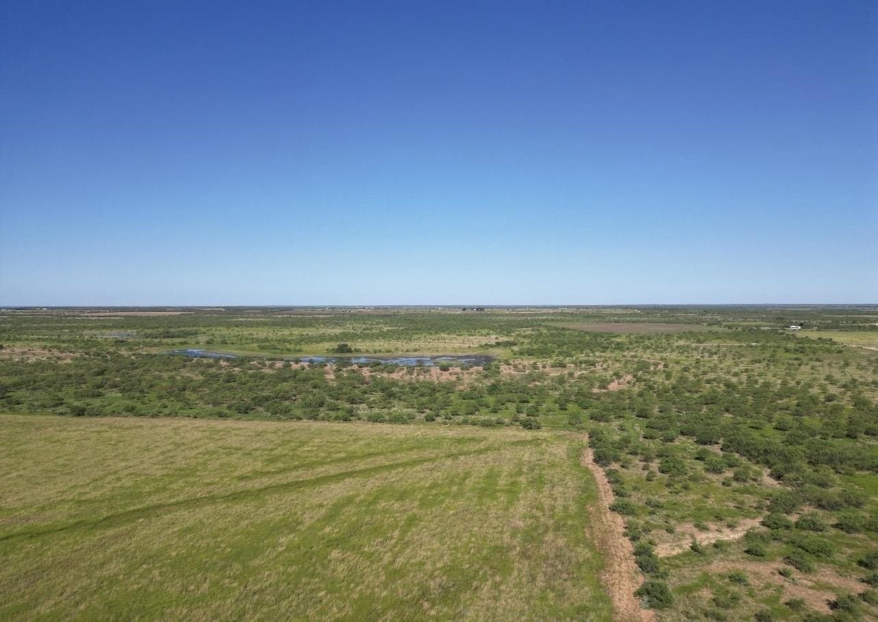 290 acres in Coleman County - photo 9