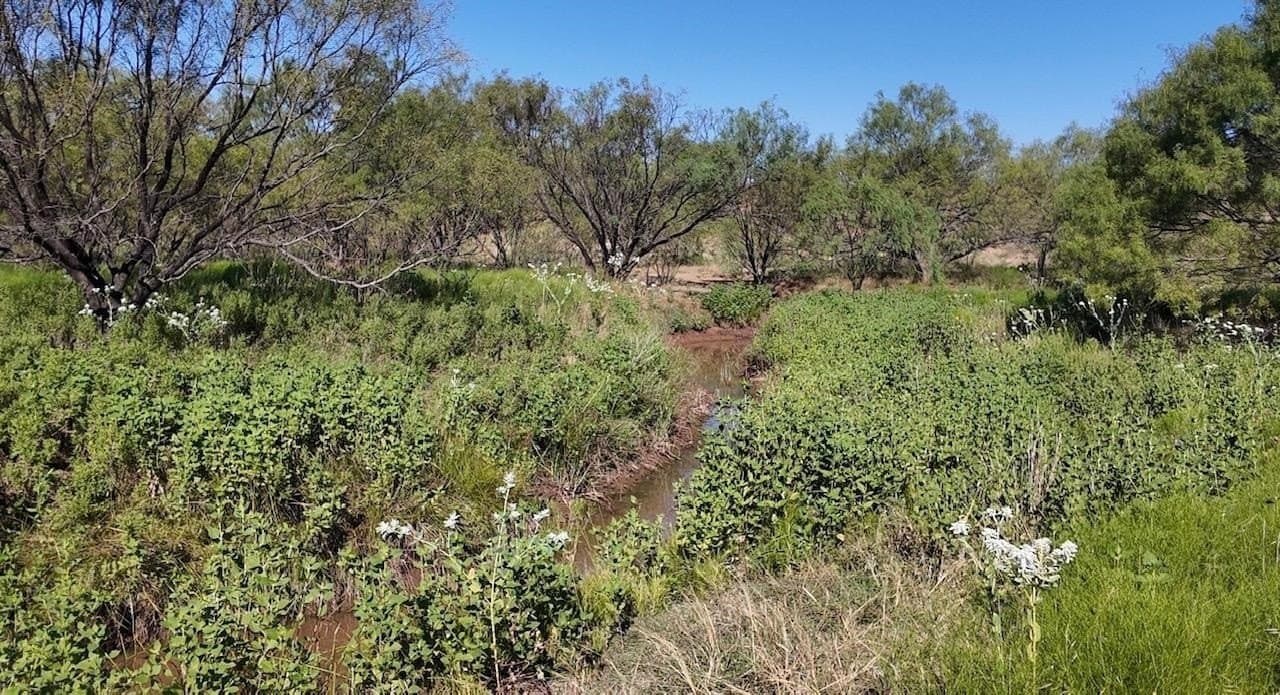 290 acres in Coleman County - photo 28