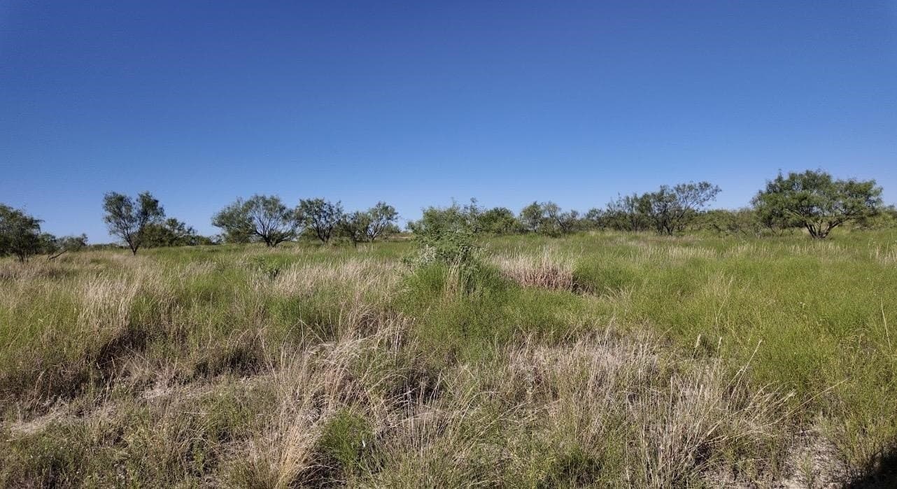290 acres in Coleman County - photo 14