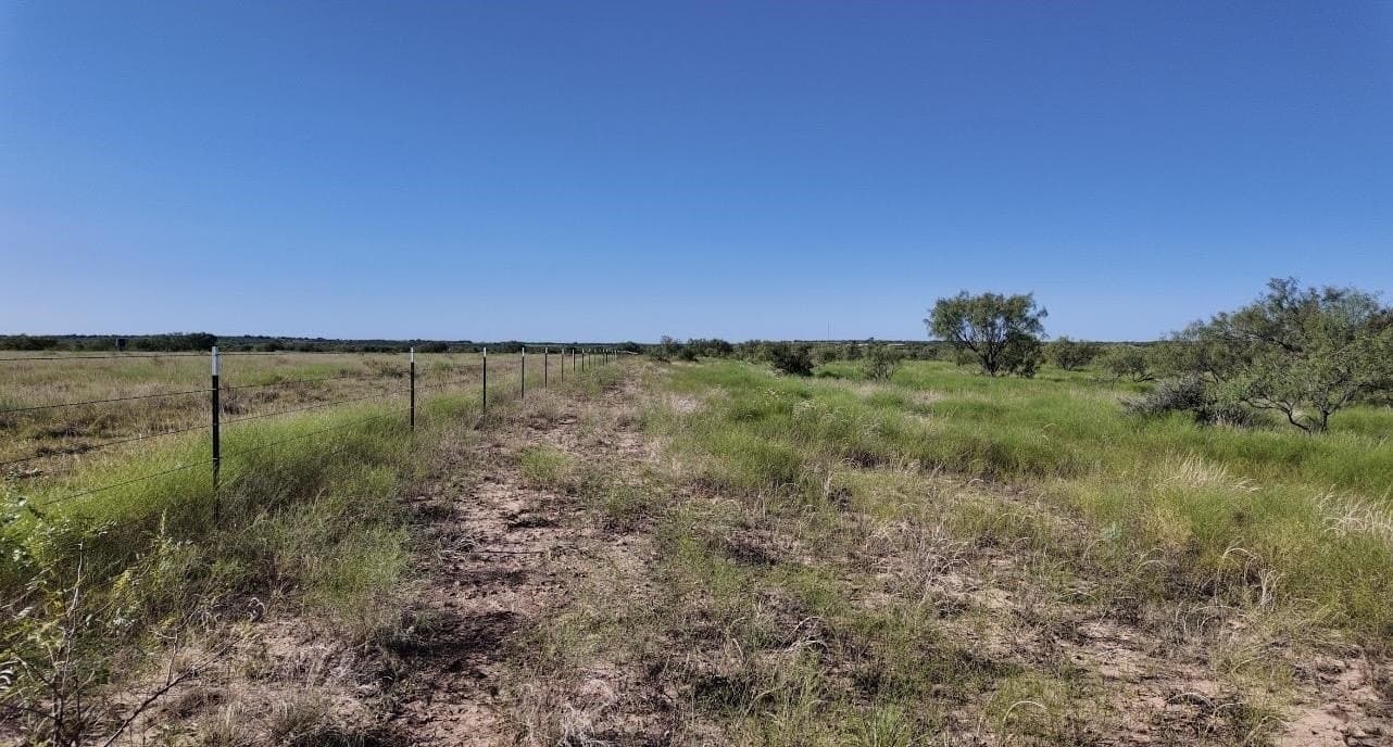 290 acres in Coleman County - photo 16