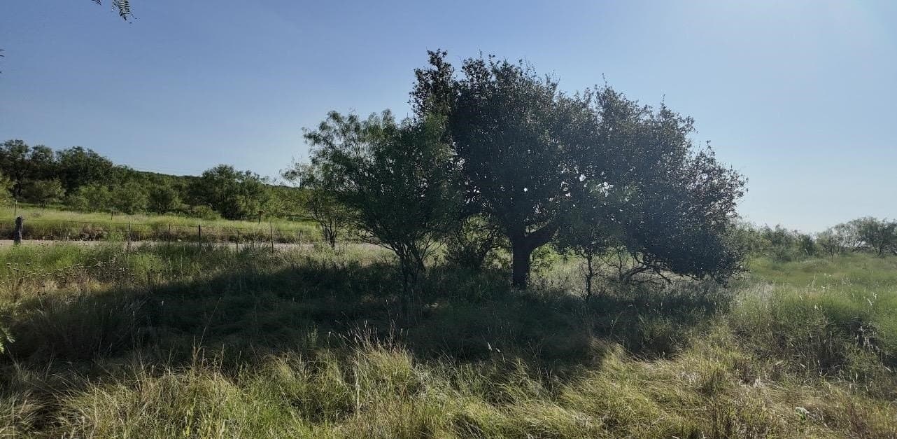 290 acres in Coleman County - photo 15