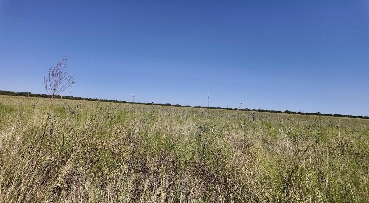 290 acres in Coleman County - photo 32