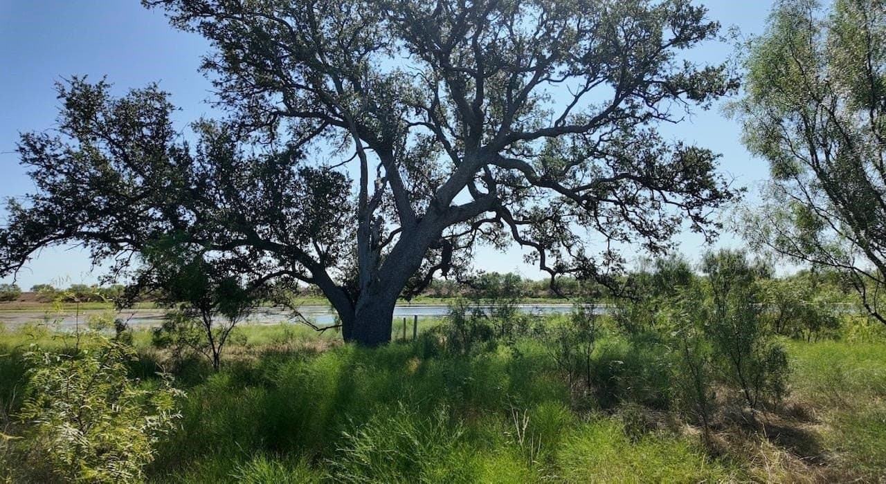 290 acres in Coleman County - photo 33