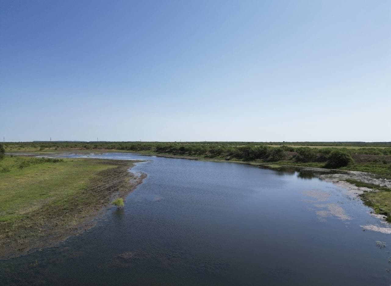 290 acres in Coleman County - photo 3