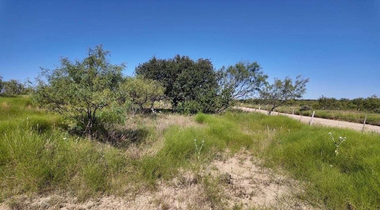 290 acres in Coleman County - photo 29