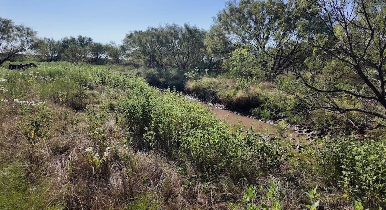 290 acres in Coleman County - photo 27