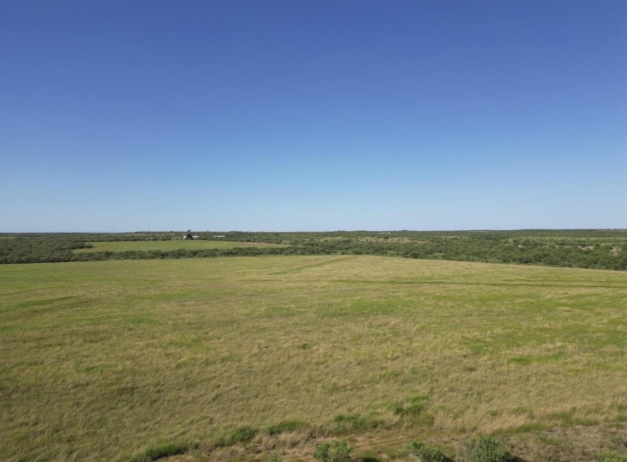 290 acres in Coleman County - photo 8