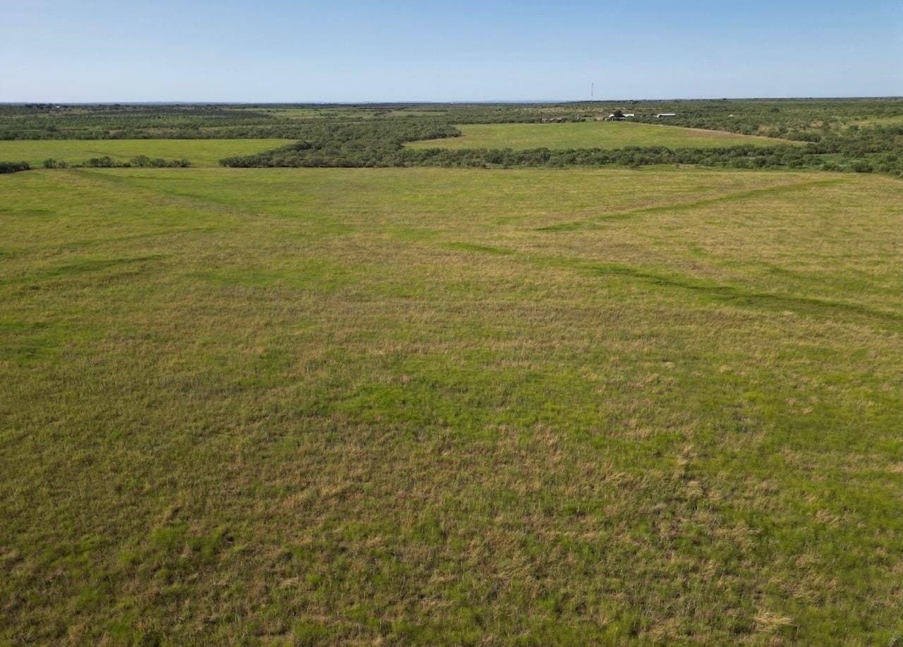 290 acres in Coleman County - photo 10