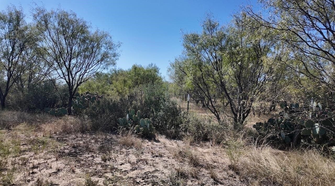 290 acres in Coleman County - photo 31