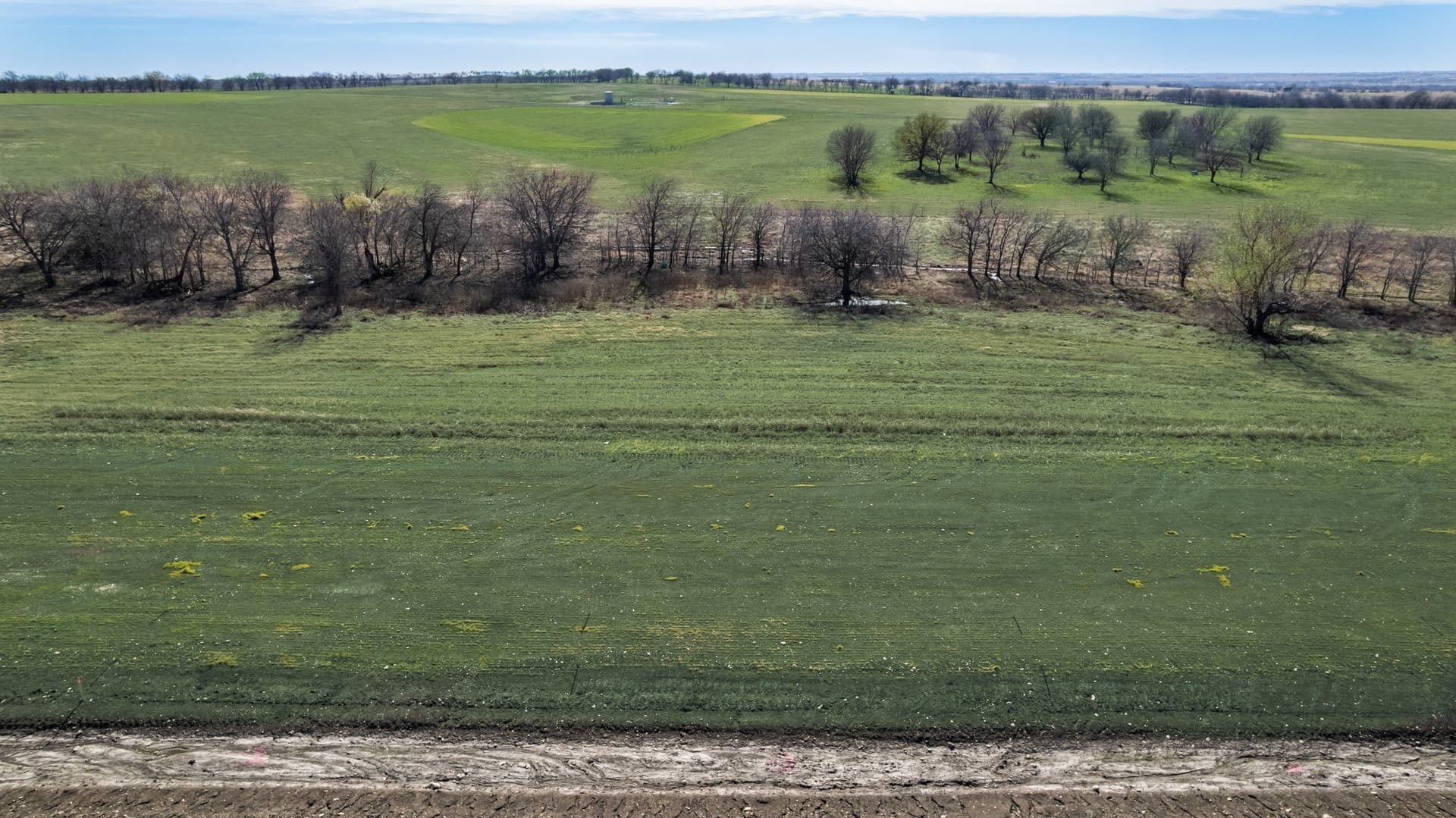 3.1 acres in Denton County - photo 2
