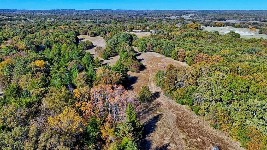 49.9 acres in Montague County gallery image 4