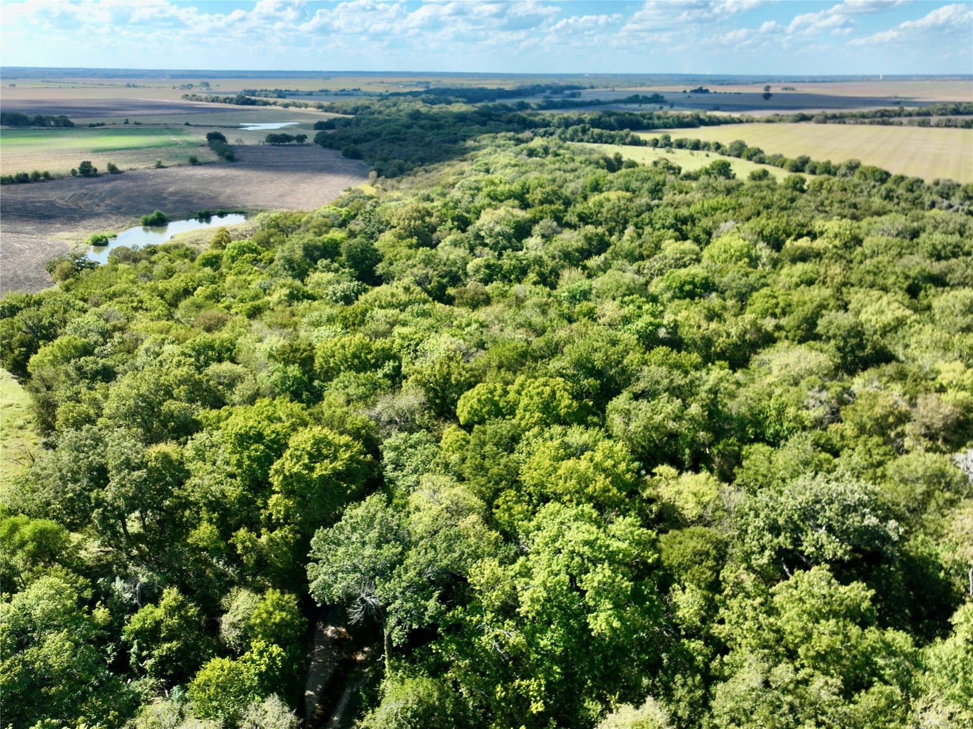 1,391.08 acres in Ellis County - photo 26