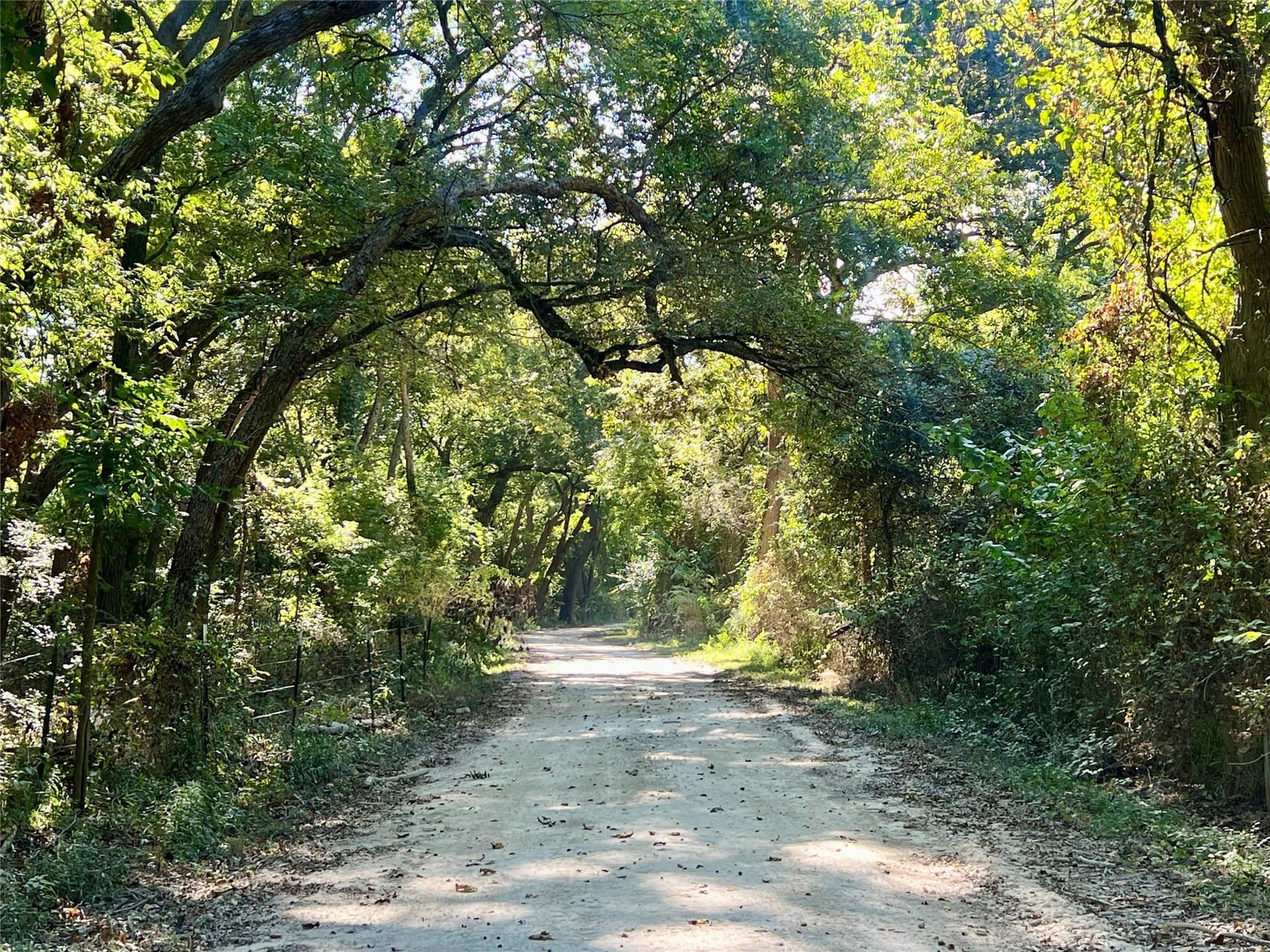 1,391.08 acres in Ellis County - photo 25