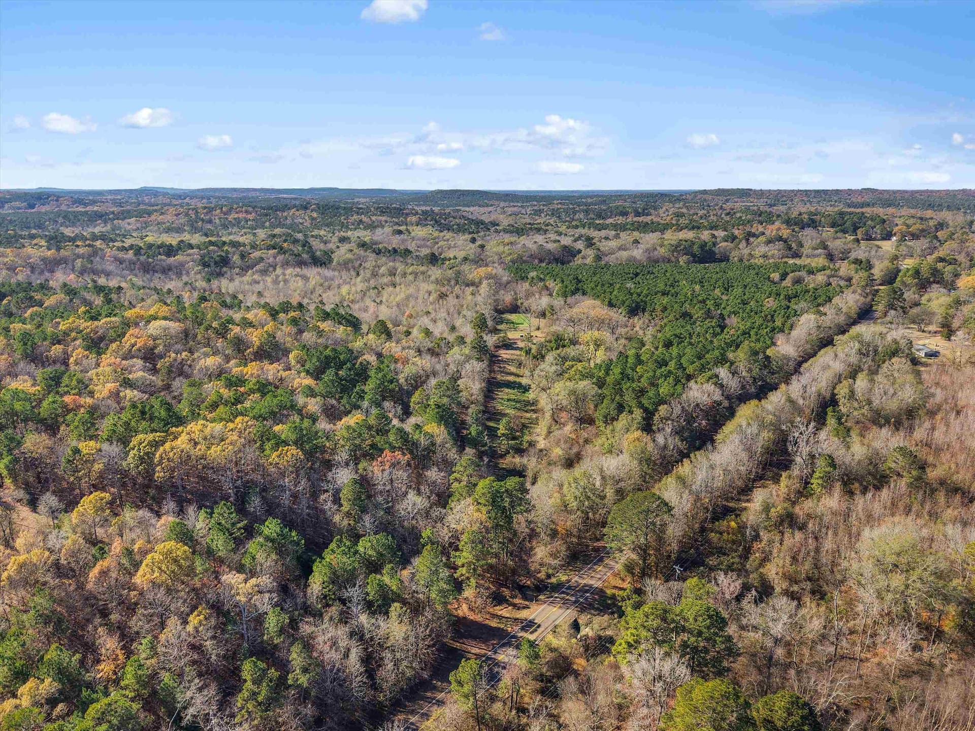 10.77 acres in Upshur County featured view