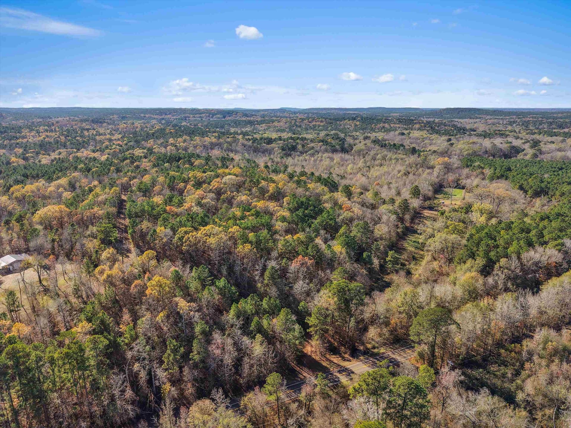 10.77 acres in Upshur County gallery image 4