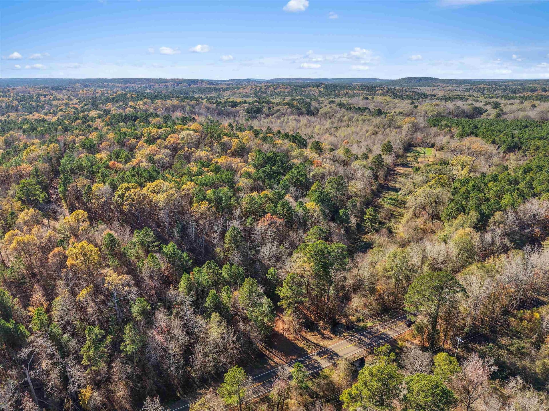 10.77 acres in Upshur County gallery image 3