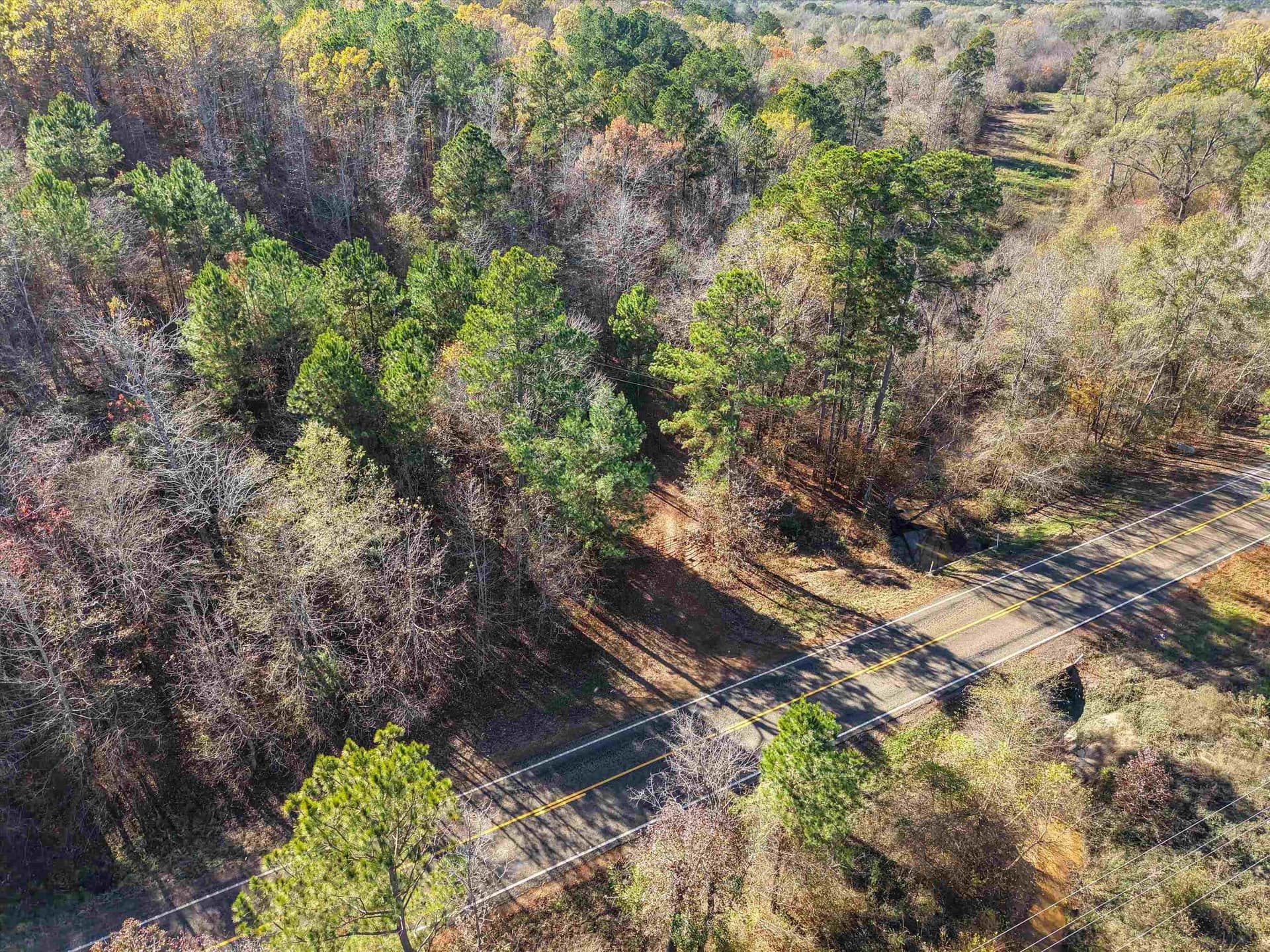 10.77 acres in Upshur County gallery image 2