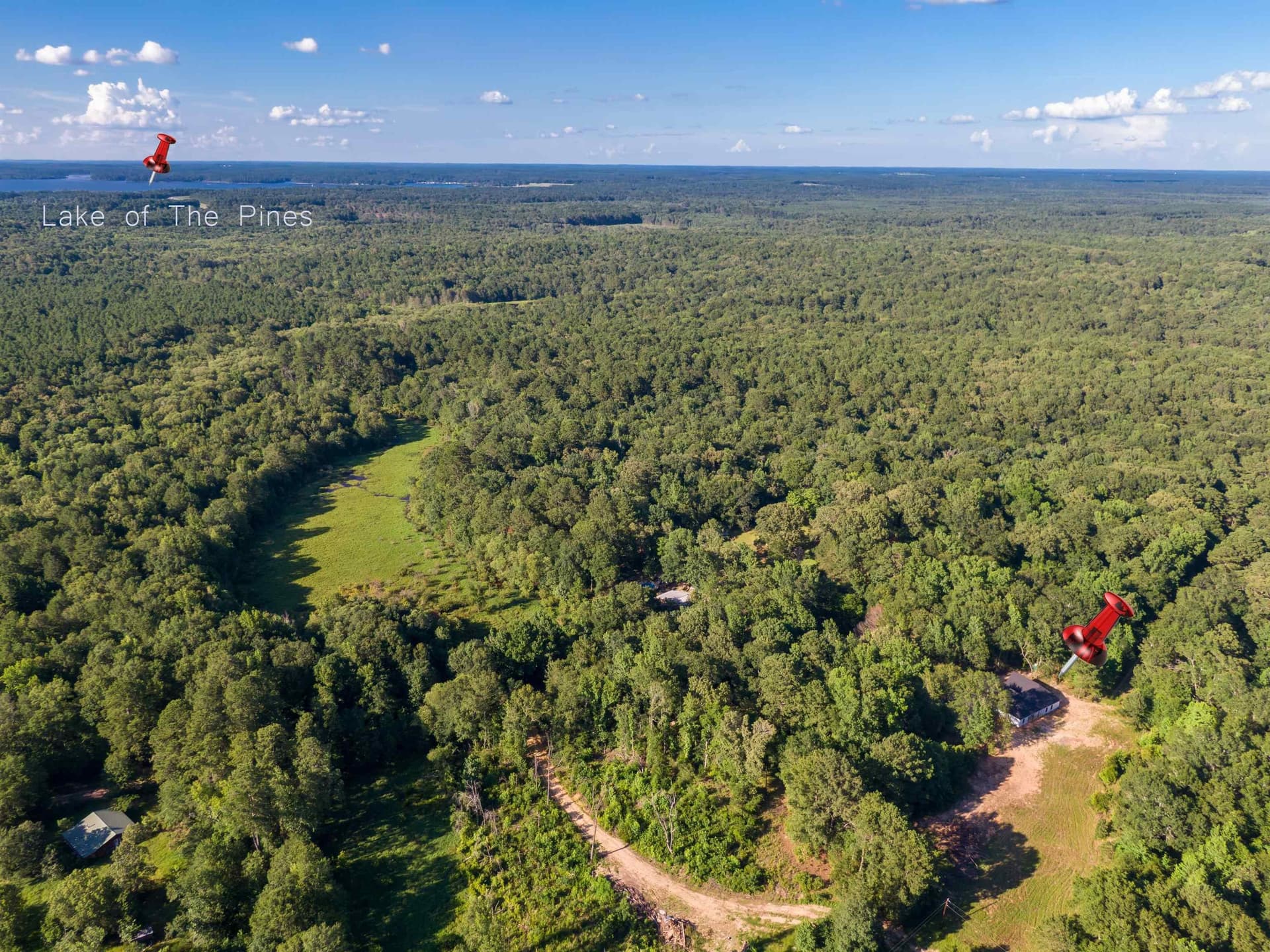 5 acres in Marion County gallery image 3