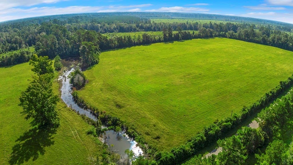 20 acres in Texas County - photo 6