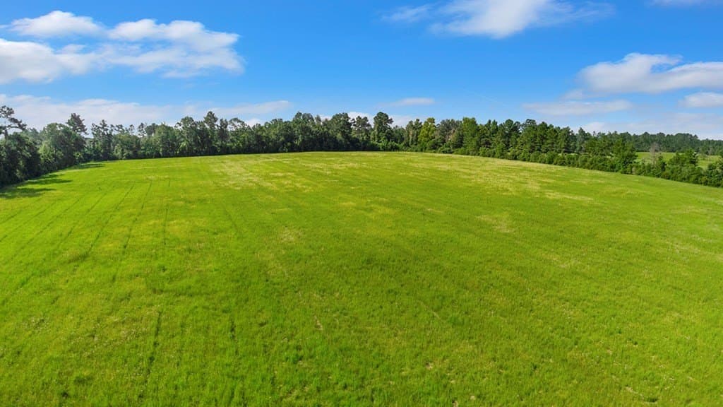 20 acres in Texas County - photo 9