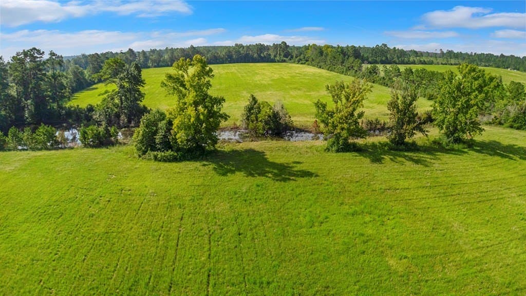20 acres in Texas County - photo 7