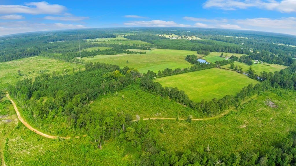 20 acres in Texas County - photo 2