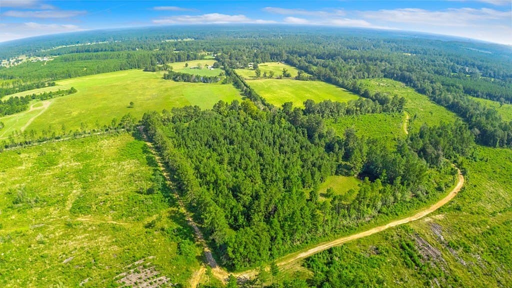 20 acres in Texas County - photo 14