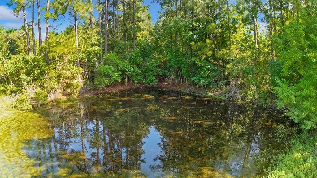 20 acres in Texas County - photo 11