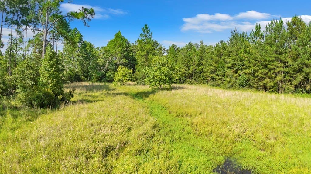 20 acres in Texas County - photo 12
