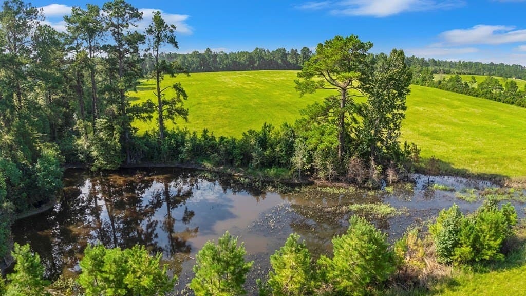 20 acres in Texas County - photo 8