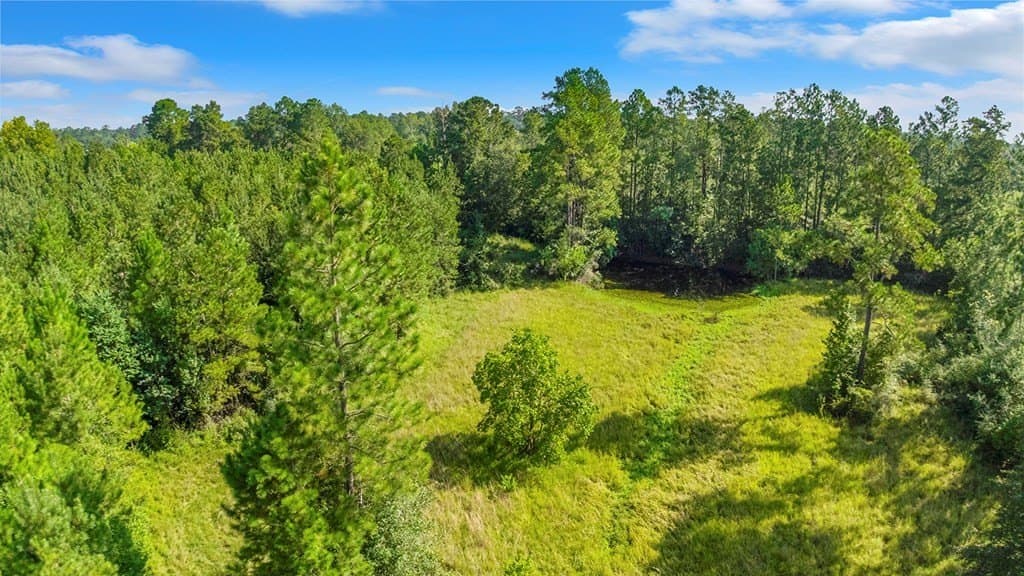 20 acres in Texas County - photo 13