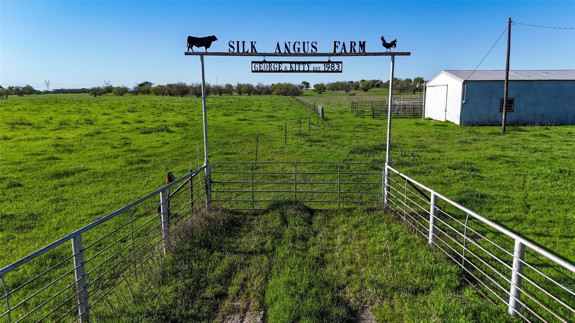 59.45 acres in Cooke County - photo 9