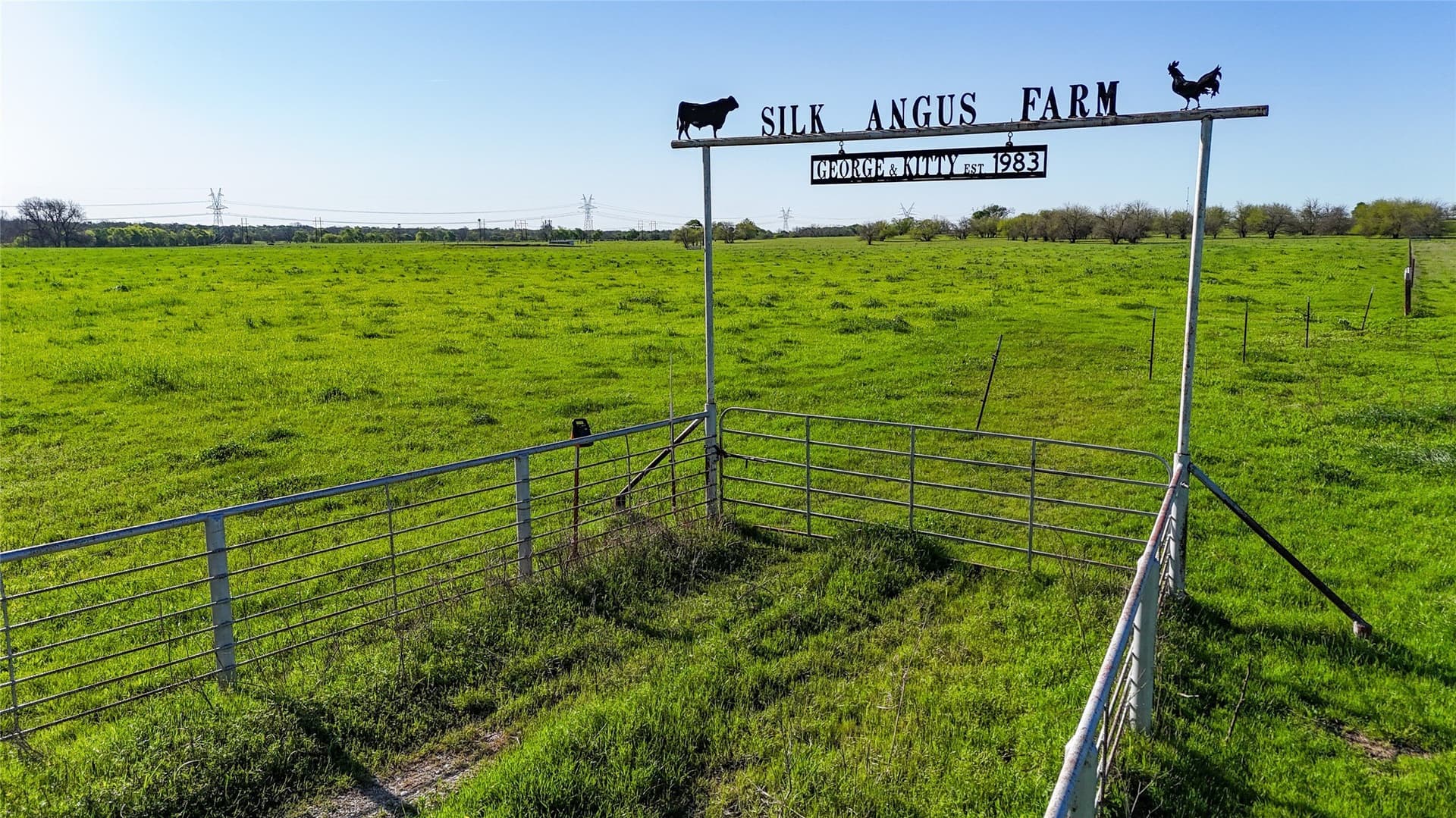 59.45 acres in Cooke County - photo 8